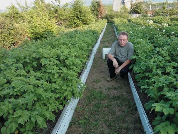 Иллюстрация к книге — Грядка для отличного урожая. Картофель без химии и хлопот, на любой почве [i_076.jpg]