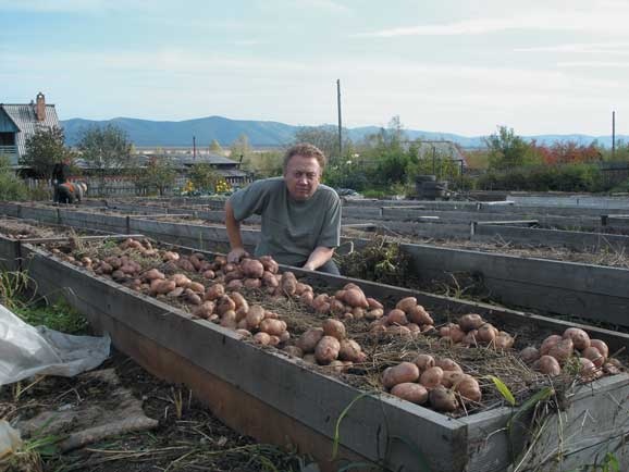 Иллюстрация к книге — Грядка для отличного урожая. Картофель без химии и хлопот, на любой почве [i_077.jpg]