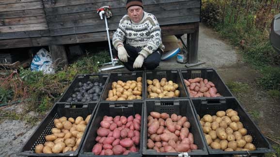 Иллюстрация к книге — Грядка для отличного урожая. Картофель без химии и хлопот, на любой почве [i_081.jpg]