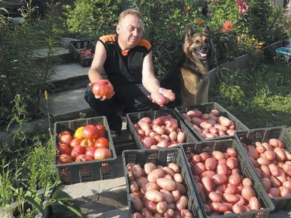 Иллюстрация к книге — Грядка для отличного урожая. Картофель без химии и хлопот, на любой почве [i_083.jpg]