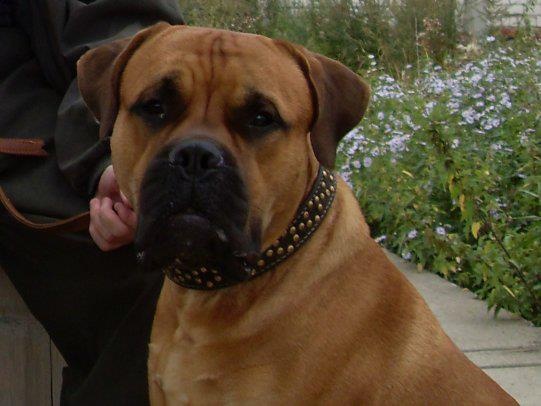 Иллюстрация к книге — На Саланге-реке: Избранное [i_003.jpg]