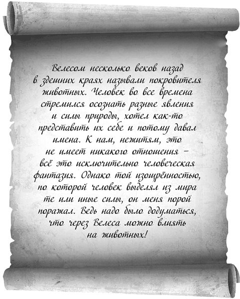 Иллюстрация к книге — Жити и нежити [i_004.jpg]