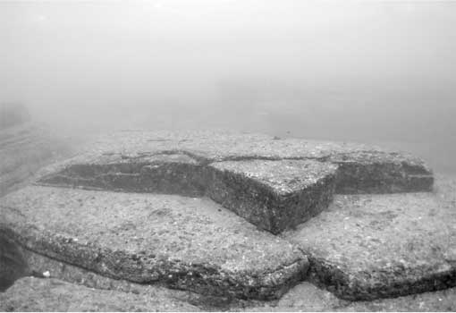 Иллюстрация к книге — Тайны подводного мира [i_011.jpg]