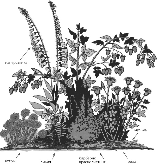 Иллюстрация к книге — Большая книга сада и огорода по-новому [i_003.jpg]