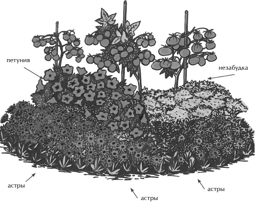 Иллюстрация к книге — Большая книга сада и огорода по-новому [i_009.jpg]