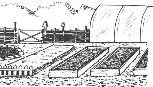 Иллюстрация к книге — Большая книга сада и огорода по-новому [i_010.jpg]