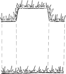 Иллюстрация к книге — Большая книга сада и огорода по-новому [i_011.jpg]