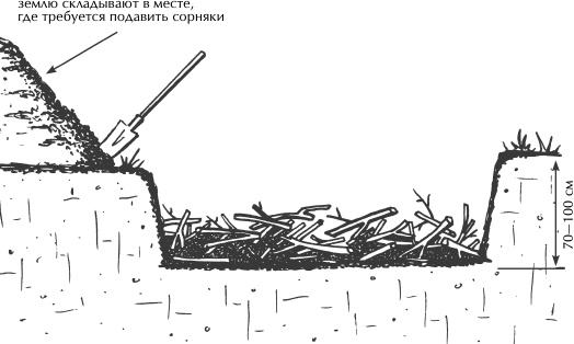 Иллюстрация к книге — Большая книга сада и огорода по-новому [i_013.jpg]