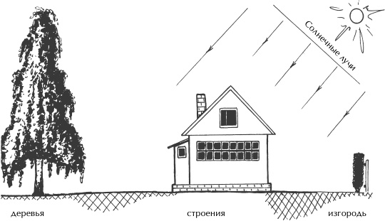 Иллюстрация к книге — Большая книга сада и огорода по-новому [i_014.jpg]