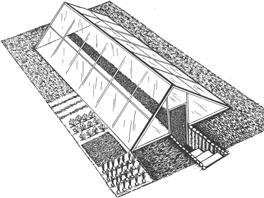 Иллюстрация к книге — Большая книга сада и огорода по-новому [i_021.jpg]