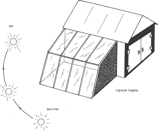 Иллюстрация к книге — Большая книга сада и огорода по-новому [i_022.jpg]