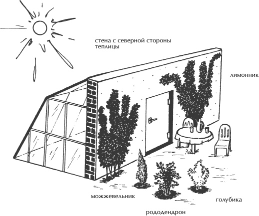 Иллюстрация к книге — Большая книга сада и огорода по-новому [i_023.jpg]