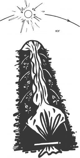 Иллюстрация к книге — Большая книга сада и огорода по-новому [i_025.jpg]