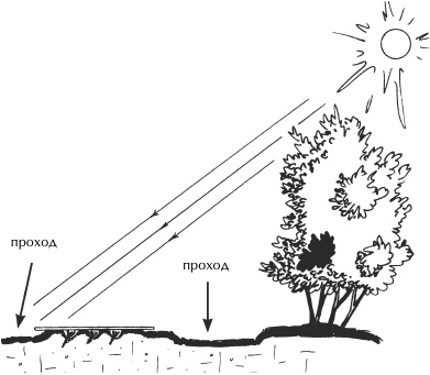 Иллюстрация к книге — Большая книга сада и огорода по-новому [i_055.jpg]