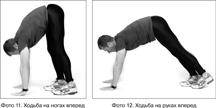 Иллюстрация к книге — Фитнес после 40. В прекрасной форме в любом возрасте [i_011.jpg]