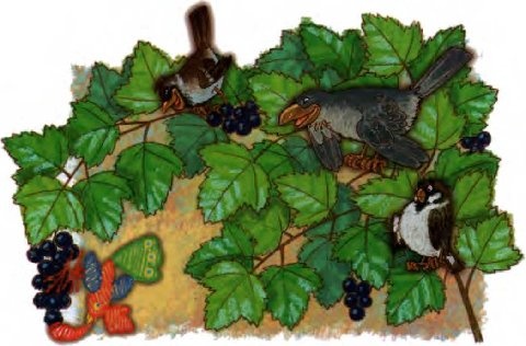 Иллюстрация к книге — О бегемоте, который боялся прививок [i_015.jpg]