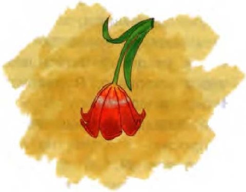 Иллюстрация к книге — О бегемоте, который боялся прививок [i_043.jpg]