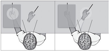 Иллюстрация к книге — Наука о мозге и миф о своем Я. Тоннель Эго [i_003.jpg]