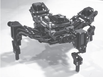 Иллюстрация к книге — Наука о мозге и миф о своем Я. Тоннель Эго [i_021.jpg]