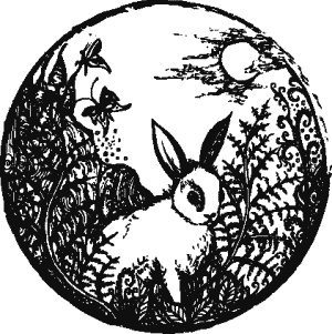 Иллюстрация к книге — Дикая магия [_079.jpg]