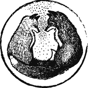 Иллюстрация к книге — Дикая магия [_123.jpg]