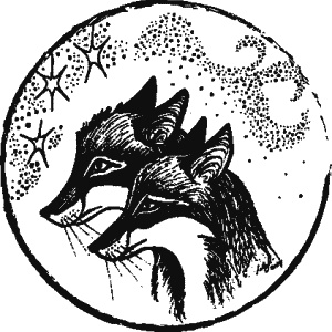 Иллюстрация к книге — Дикая магия [_137.jpg]