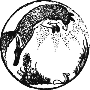 Иллюстрация к книге — Дикая магия [_181.jpg]