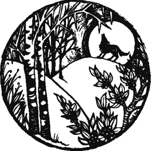 Иллюстрация к книге — Дикая магия [_194.jpg]