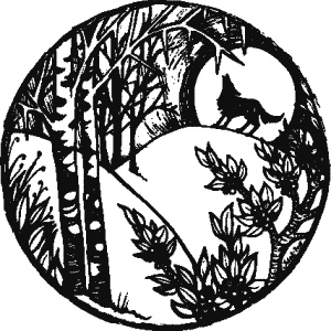 Иллюстрация к книге — Дикая магия [_324.jpg]