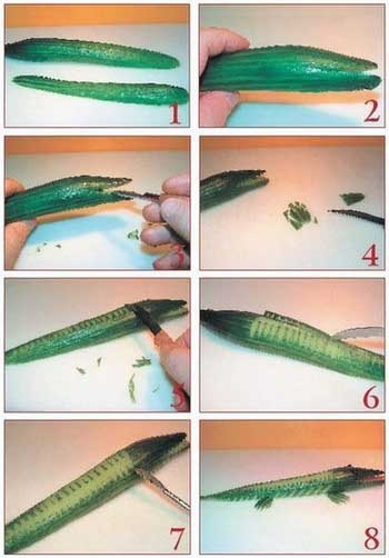 Иллюстрация к книге — Как украсить праздничный стол [i_063.jpg]