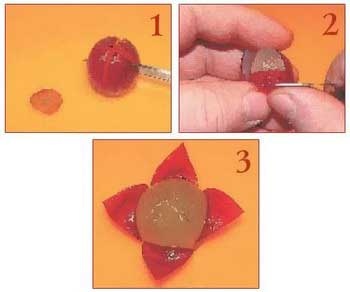 Иллюстрация к книге — Как украсить праздничный стол [i_129.jpg]