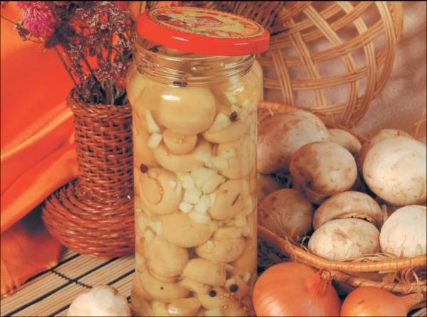 Иллюстрация к книге — Приготовление вкуснейших соусов, подлив, заправок, приправок, маринадов, кляров и панировок [i_011.jpg]