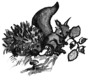 Иллюстрация к книге — Световая азбука. Две сестры, два ветра [i_016.jpg]