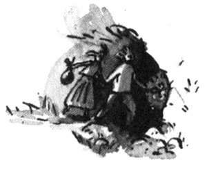 Иллюстрация к книге — Световая азбука. Две сестры, два ветра [i_019.jpg]