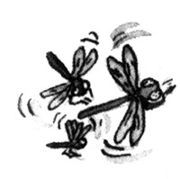 Иллюстрация к книге — Световая азбука. Две сестры, два ветра [i_021.jpg]