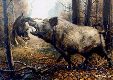 Иллюстрация к книге — Молния среди леса [_12.jpg]