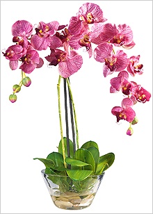 Иллюстрация к книге — Молния среди леса [_20.jpg]