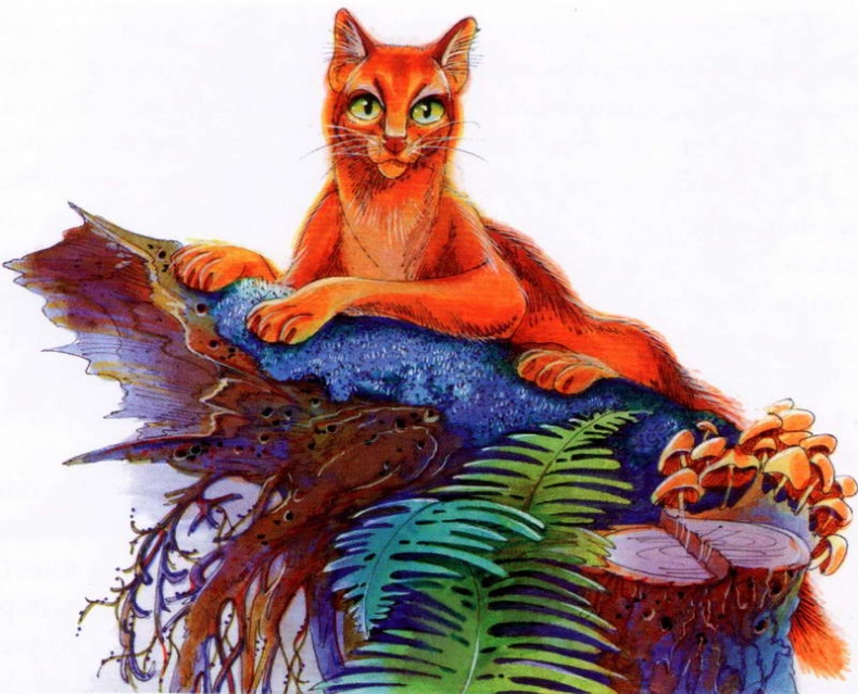 Иллюстрация к книге — Память племен. Путеводитель по серии "Коты-воители" [pic_11.jpg]