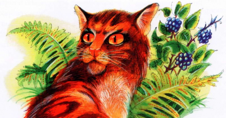 Иллюстрация к книге — Память племен. Путеводитель по серии "Коты-воители" [pic_17.jpg]