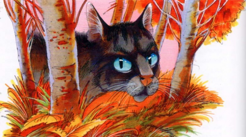 Иллюстрация к книге — Память племен. Путеводитель по серии "Коты-воители" [pic_18.jpg]