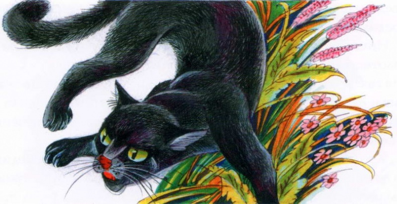 Иллюстрация к книге — Память племен. Путеводитель по серии "Коты-воители" [pic_20.jpg]