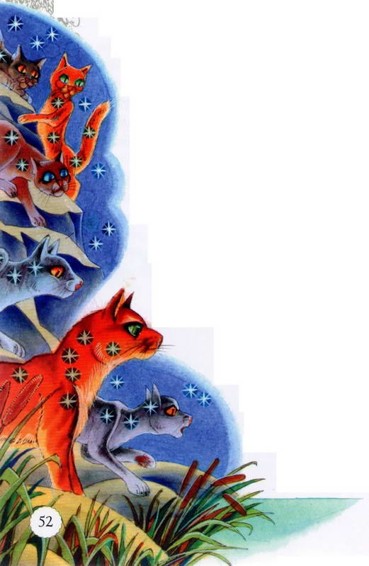 Иллюстрация к книге — Память племен. Путеводитель по серии "Коты-воители" [pic_27.jpg]