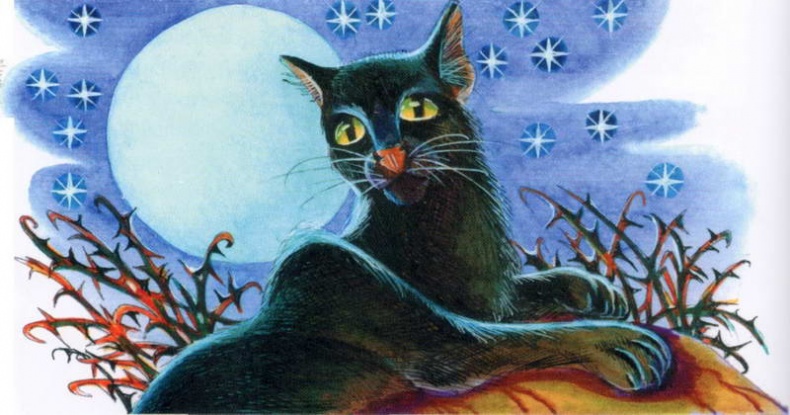 Иллюстрация к книге — Память племен. Путеводитель по серии "Коты-воители" [pic_32.jpg]