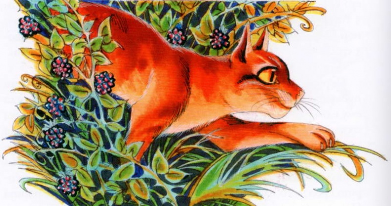 Иллюстрация к книге — Память племен. Путеводитель по серии "Коты-воители" [pic_36.jpg]