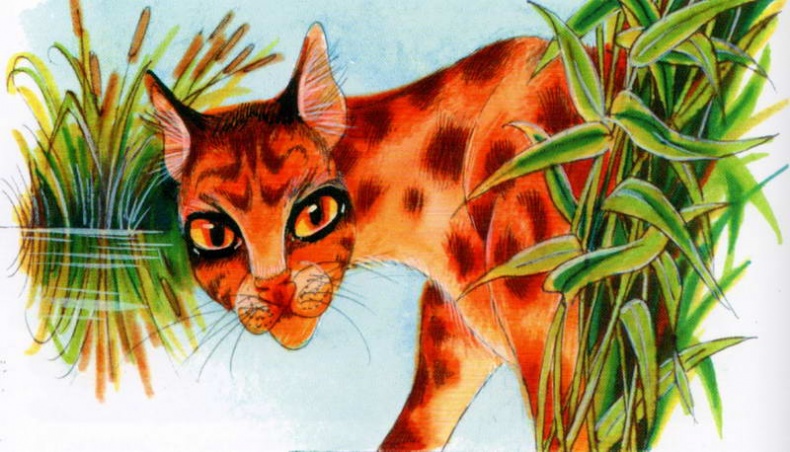 Иллюстрация к книге — Память племен. Путеводитель по серии "Коты-воители" [pic_53.jpg]