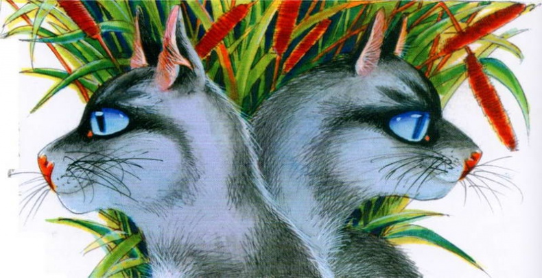 Иллюстрация к книге — Память племен. Путеводитель по серии "Коты-воители" [pic_54.jpg]