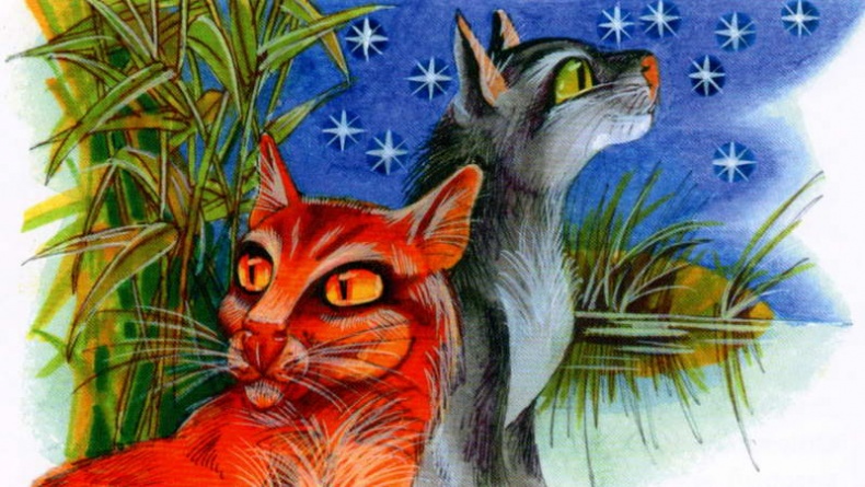 Иллюстрация к книге — Память племен. Путеводитель по серии "Коты-воители" [pic_57.jpg]