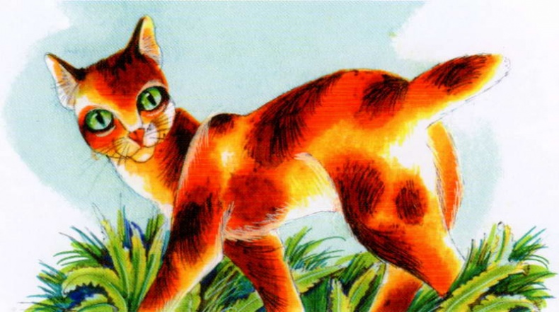 Иллюстрация к книге — Память племен. Путеводитель по серии "Коты-воители" [pic_71.jpg]