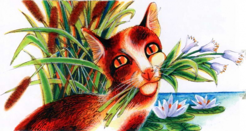 Иллюстрация к книге — Память племен. Путеводитель по серии "Коты-воители" [pic_76.jpg]