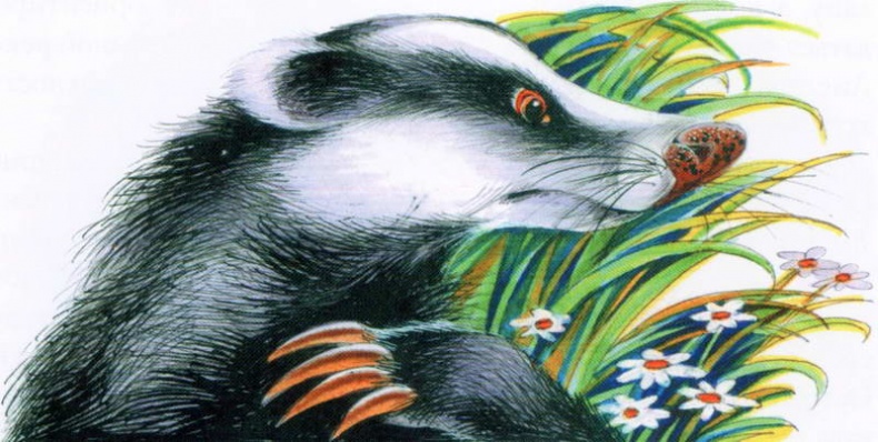 Иллюстрация к книге — Память племен. Путеводитель по серии "Коты-воители" [pic_86.jpg]